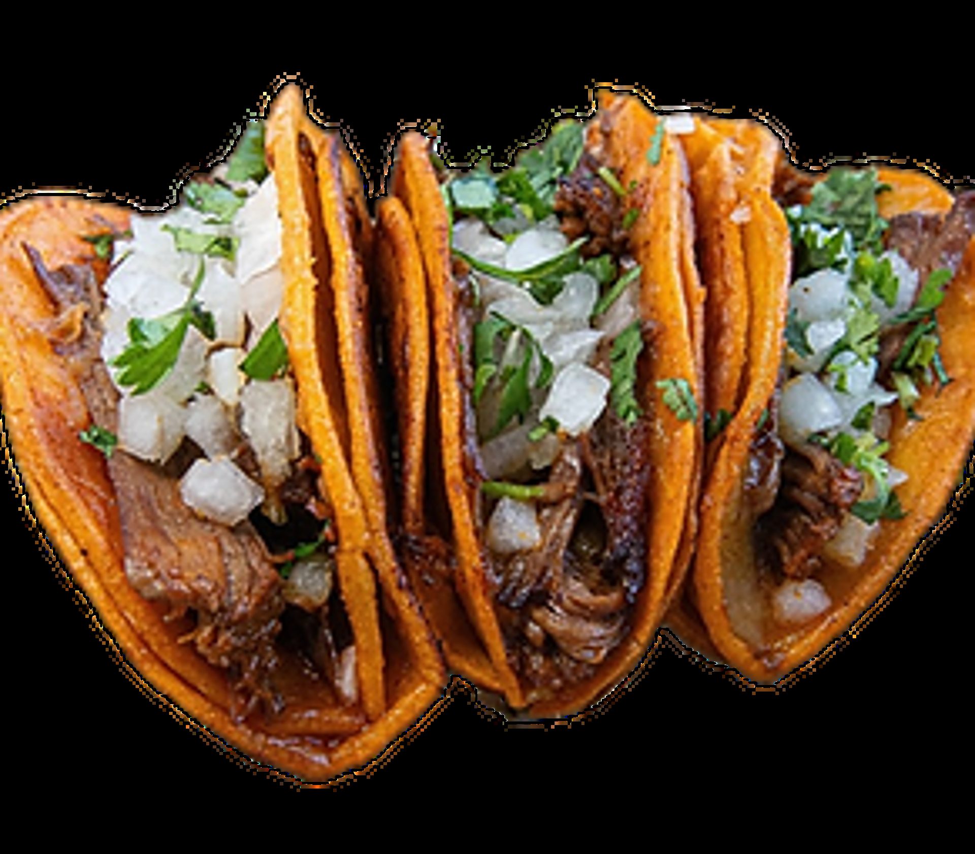 More than a hot dog spot